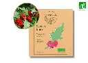 Épinard fraise AB - DL