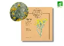Plante curry NT - DL