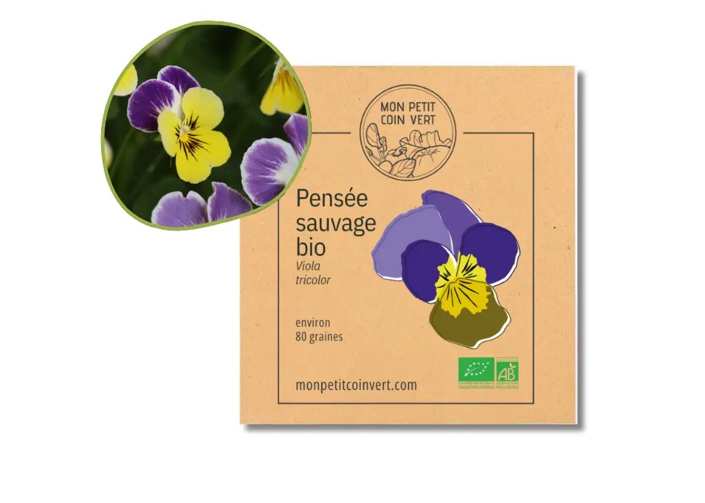 Pensée sauvage AB - DL