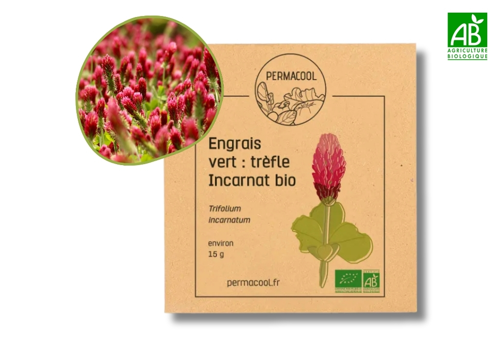 Trèfle Incarnat bio DLUO