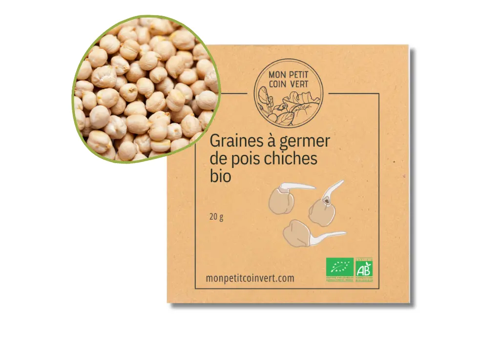 Graines de pois chiches à germer AB - DL