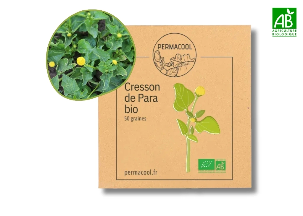 Cresson de Para AB - DL