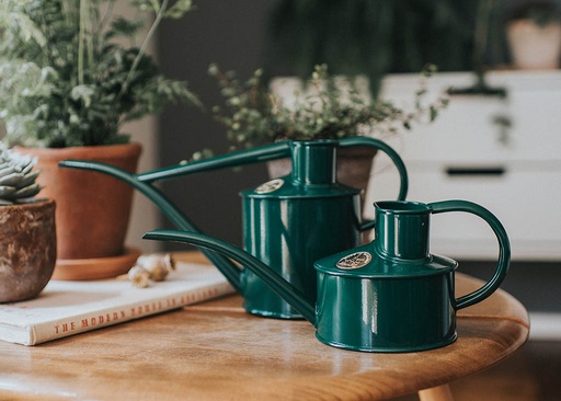 Générique 460N13 Garden Arrosoir Vert 13 L