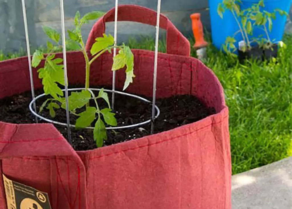 Pot en géotextile Rootpouch - 30L