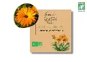 Souci des jardins AB