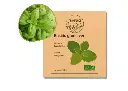 Basilic Grand Vert Genovese AB