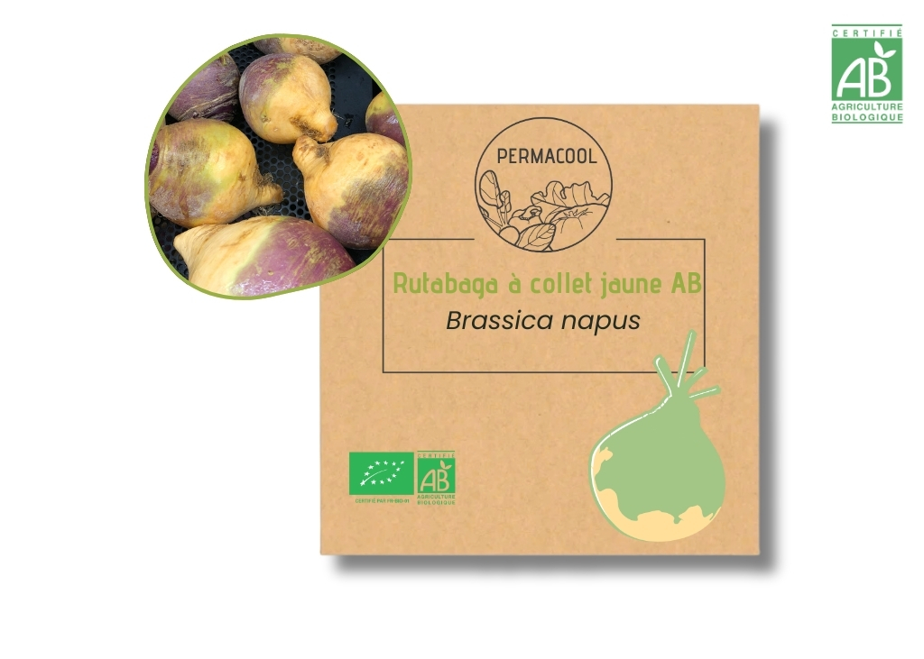 Rutabaga à collet jaune AB