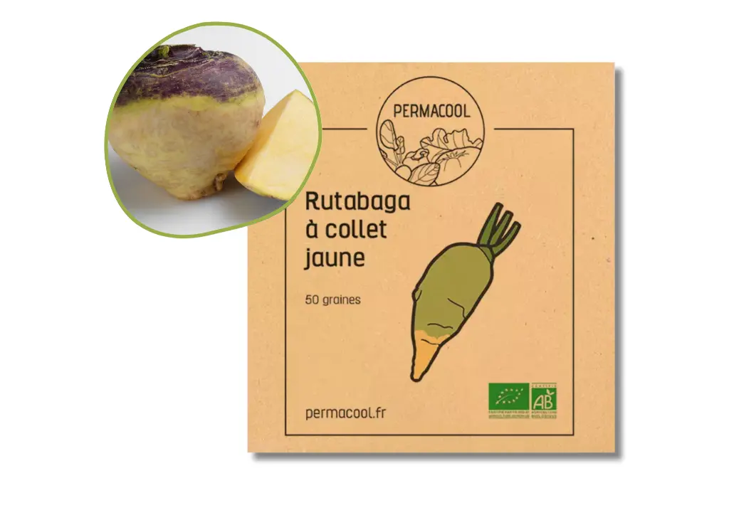 Rutabaga à collet jaune AB