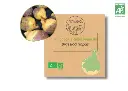 Rutabaga à collet jaune AB