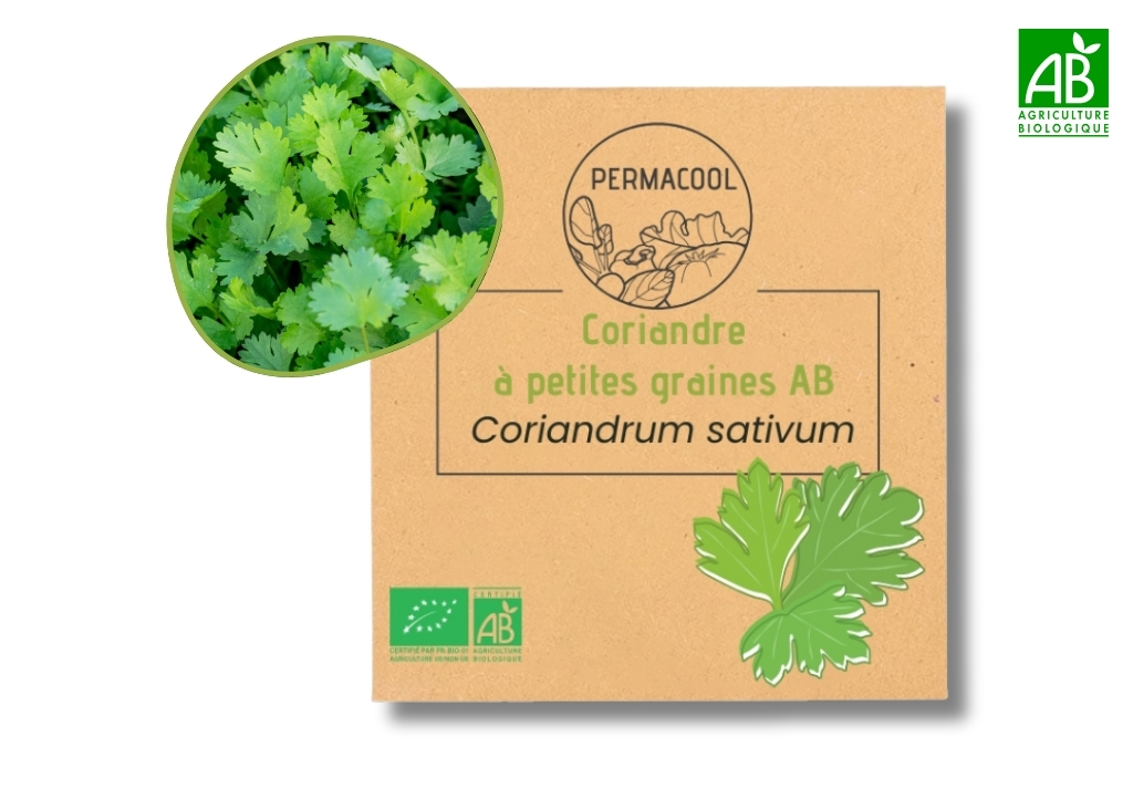 Coriandre à petites graines AB