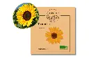 Tournesol AB
