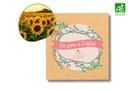 Sachets de graines pour mariage