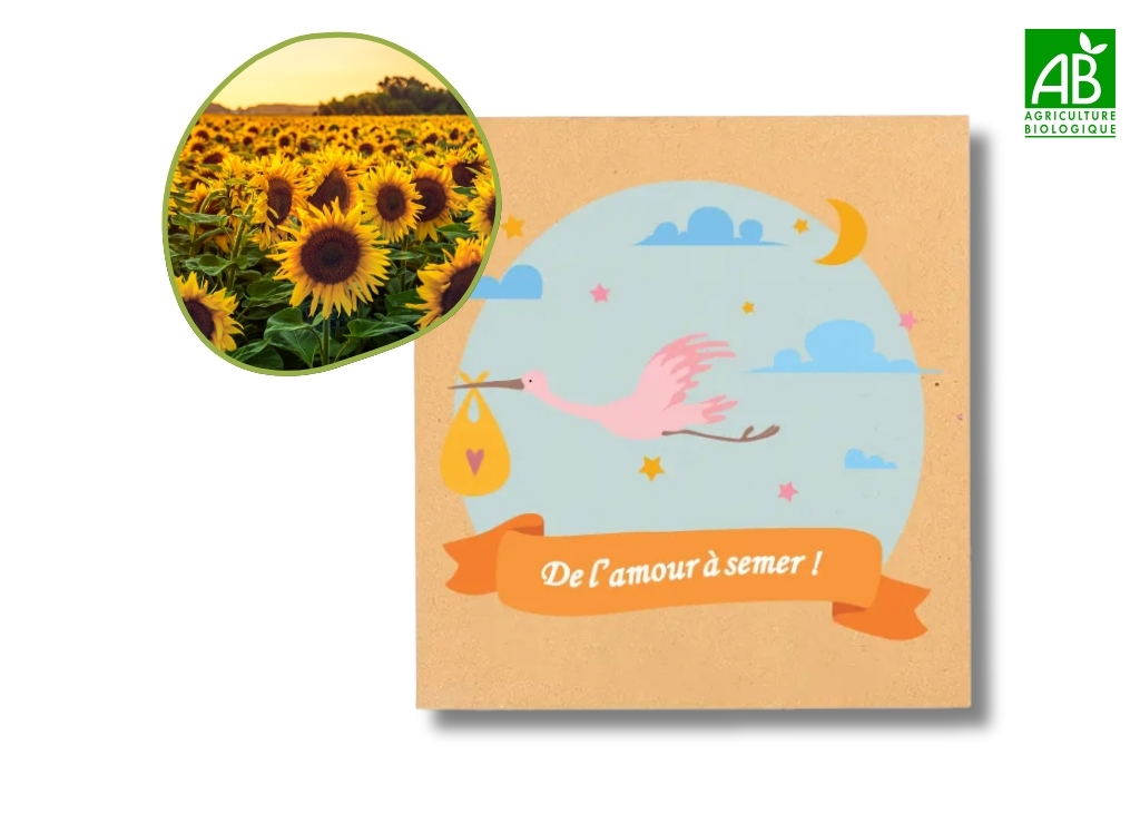 Sachets de graines naissance