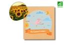Sachets de graines naissance