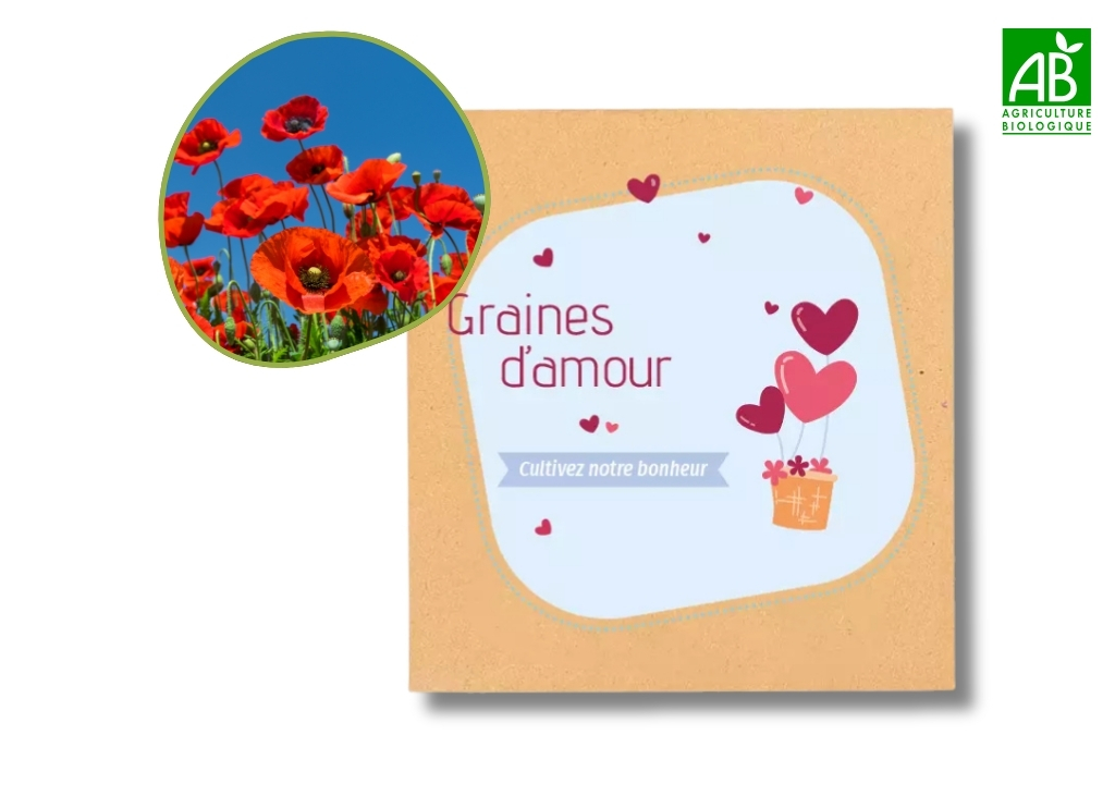 Sachets de graines pour baptême