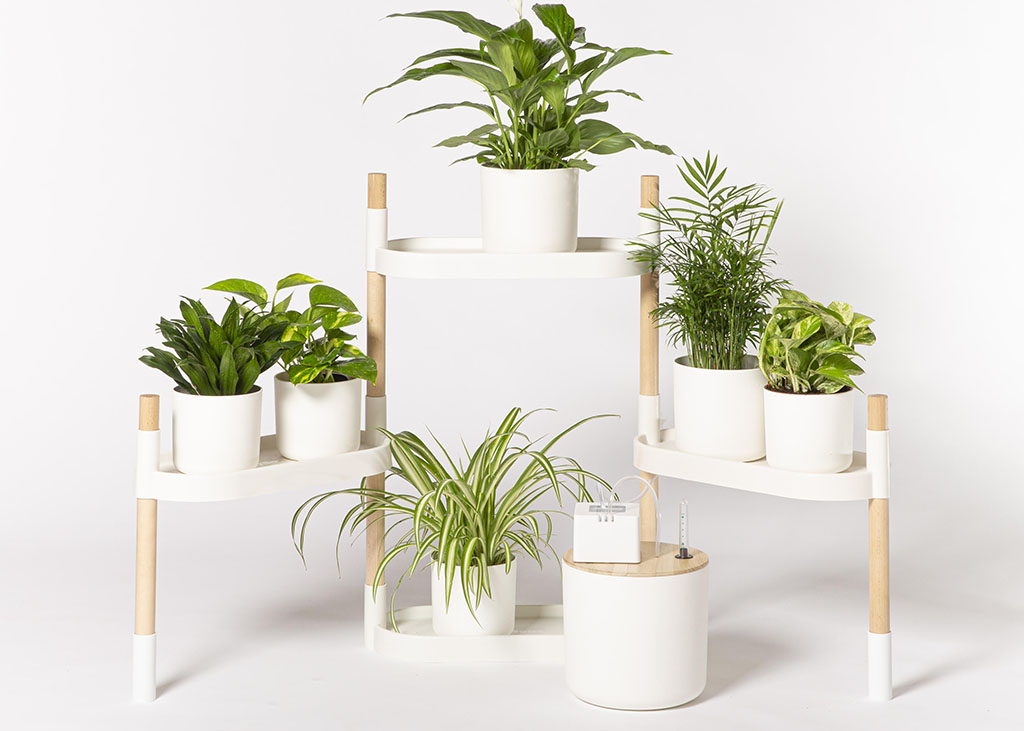 Étagère pour plantes 4 plateaux avec arrosage