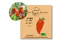 Tomate andine cornue AB