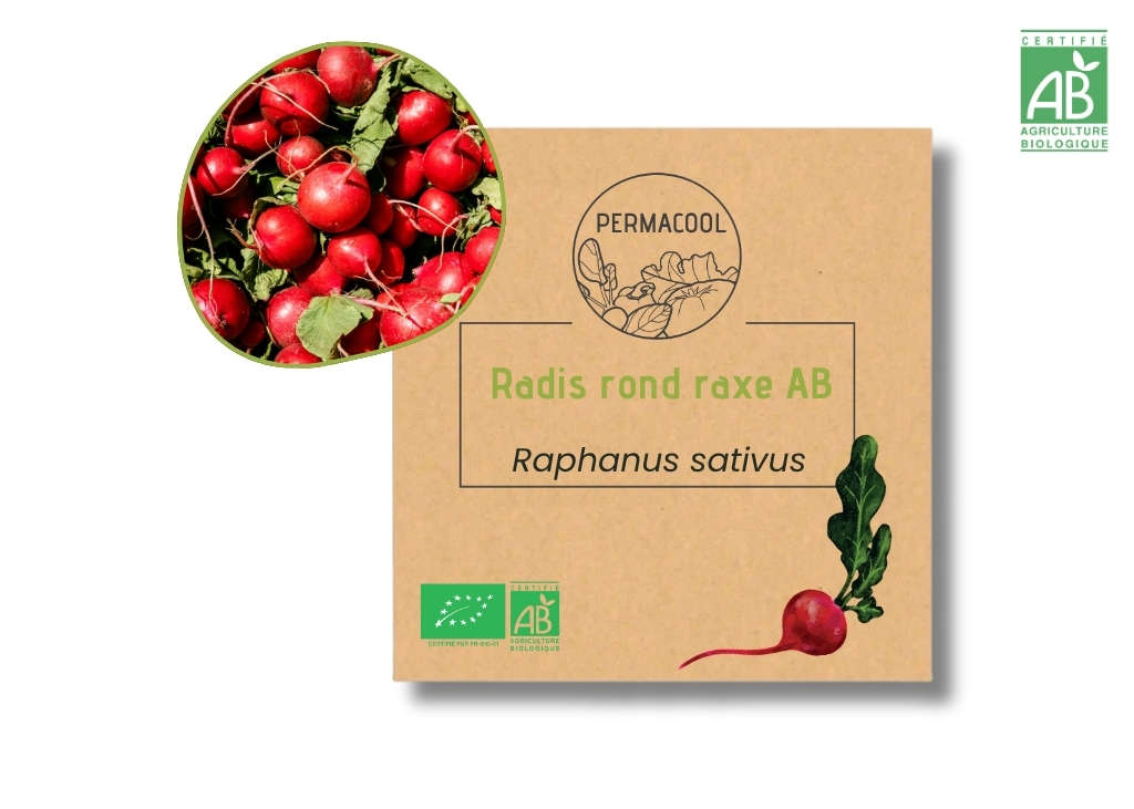 Radis rond raxe AB