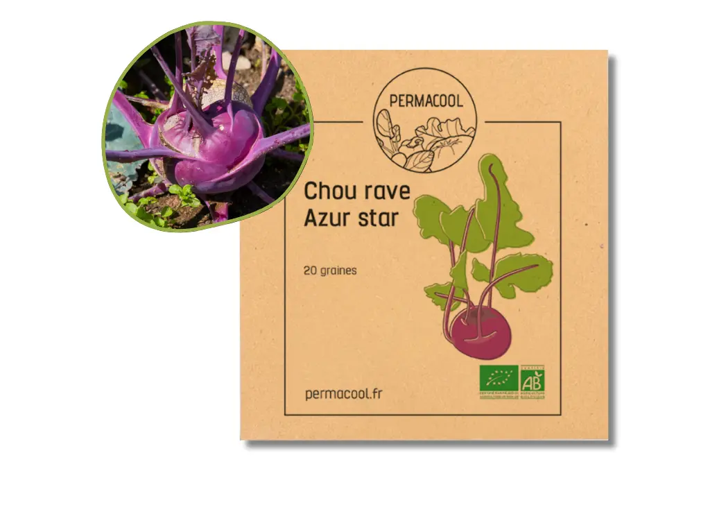 Chou-rave azur-star AB