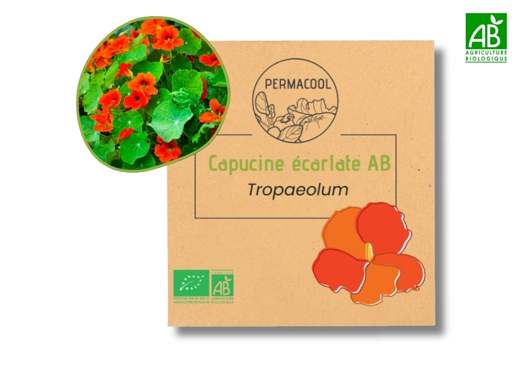 Capucine écarlate AB