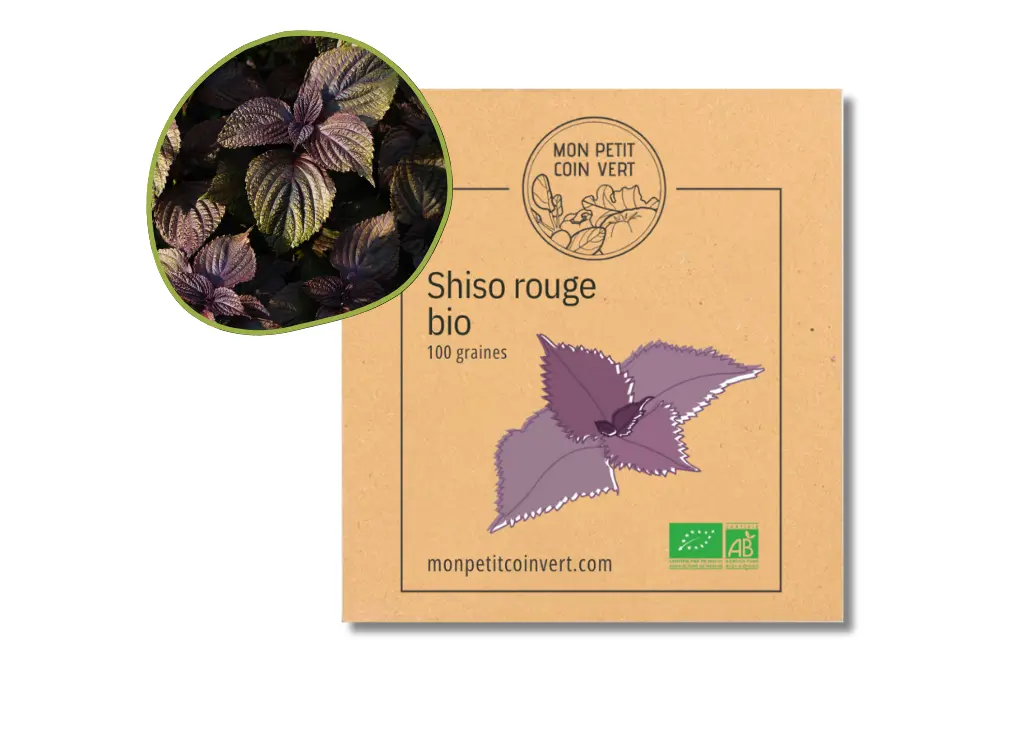 Shiso rouge AB