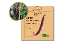 Haricot Purple Queen AB