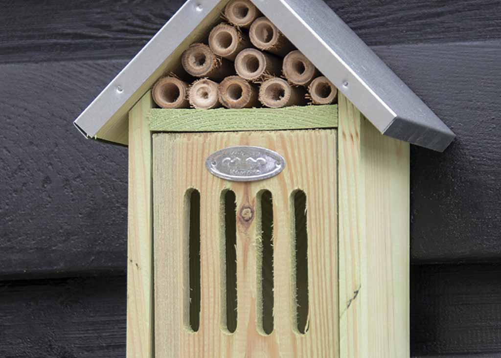 Hôtel à insectes S