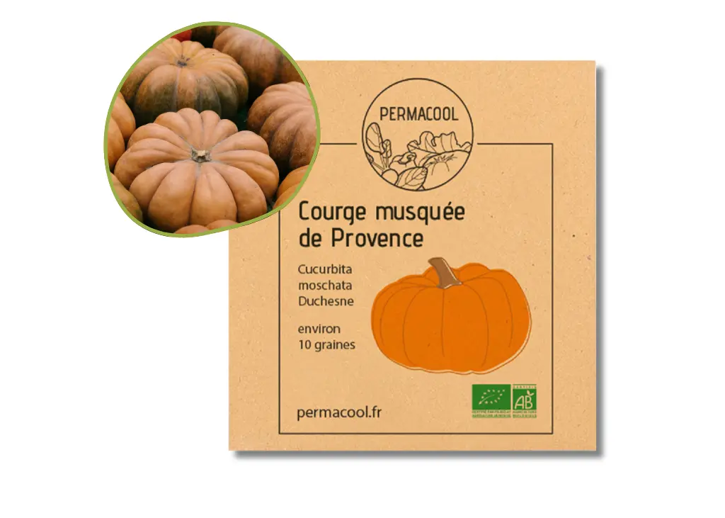 Courge Muscade de Provence AB