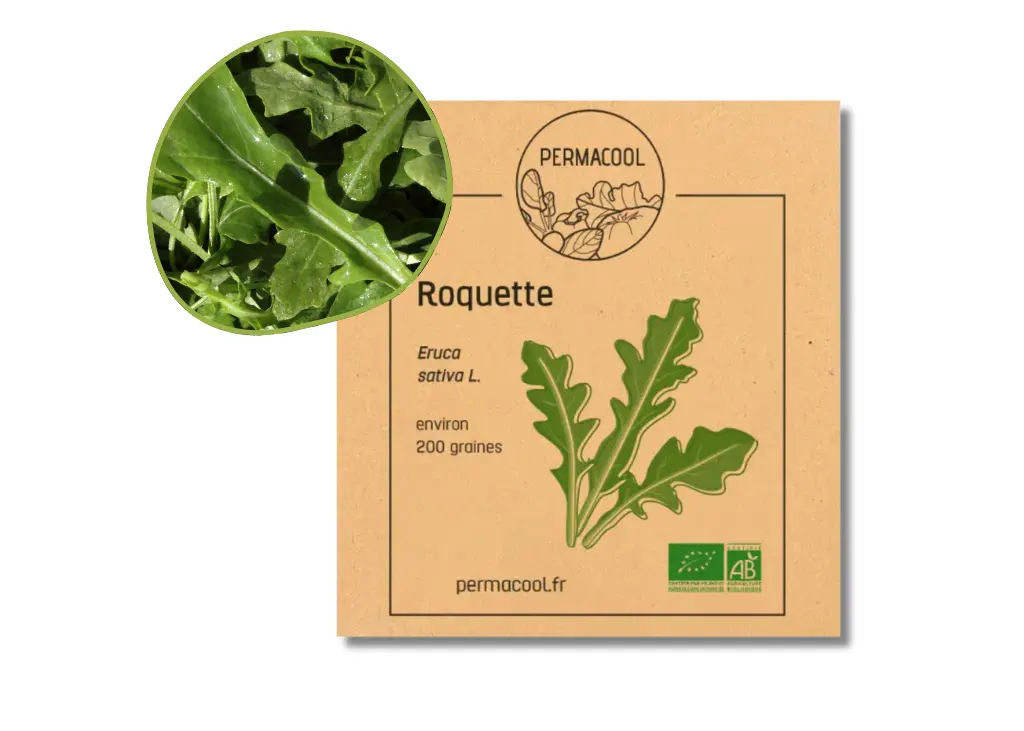 Micro-pousses de roquette cultivée AB