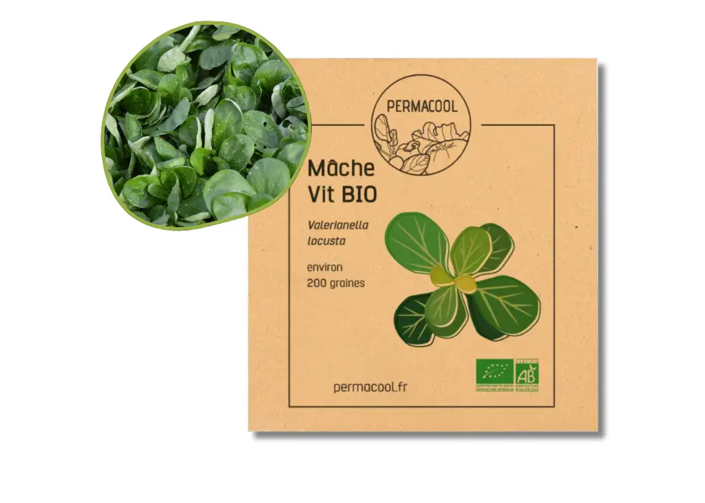 Mâche Vit AB