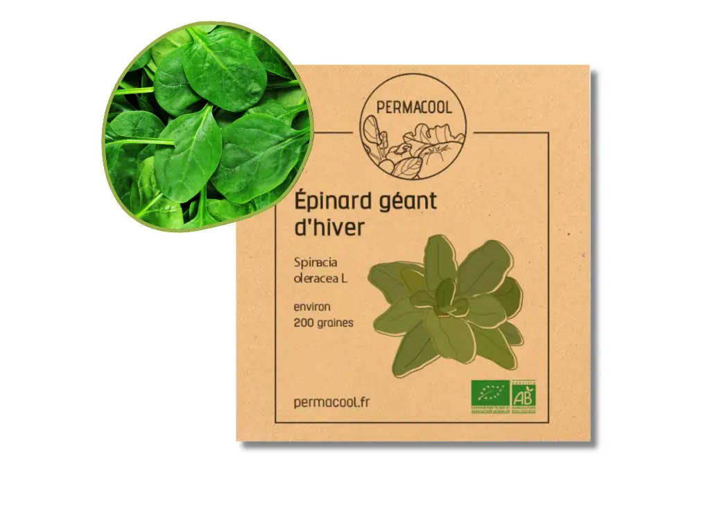 Epinard Géant AB