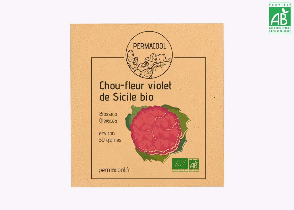 Chou fleur violet de Sicile