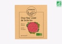 Chou fleur violet de Sicile