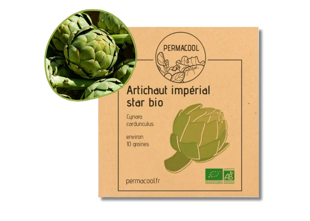 Artichaut Impérial Star AB