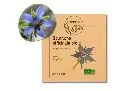 Bourrache officinale AB