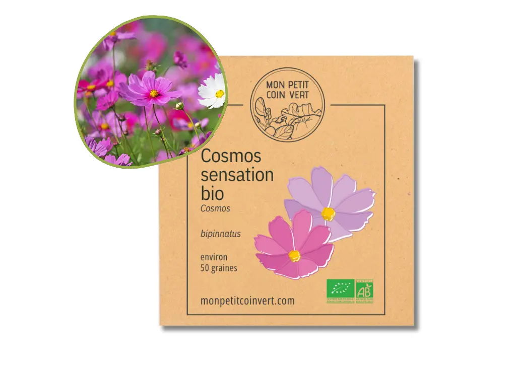 Cosmos AB