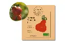 Tomate Tlacolula AB
