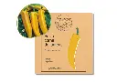 Poivron corne de taureau jaune NT