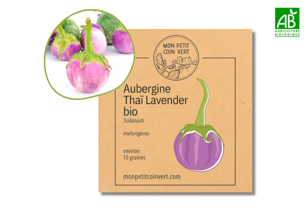 Aubergine Thaï Lavender AB
