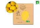 Melon jaune Canari AB DL