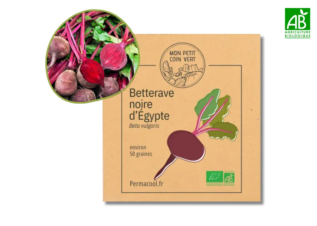 Betterave noire d’Égypte AB