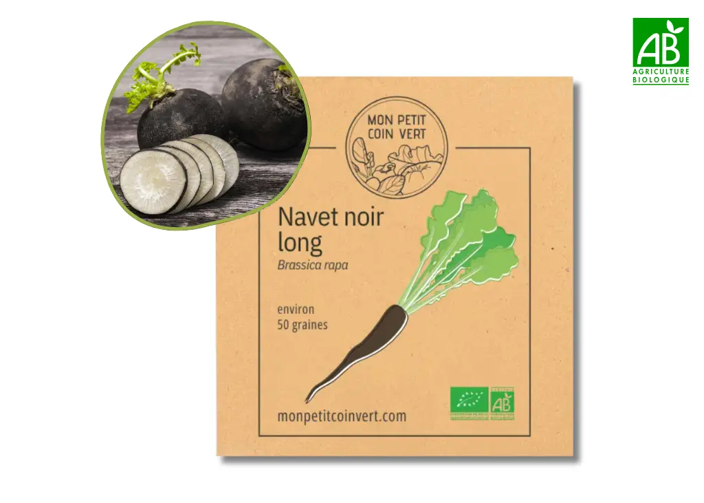 Navet noir long AB