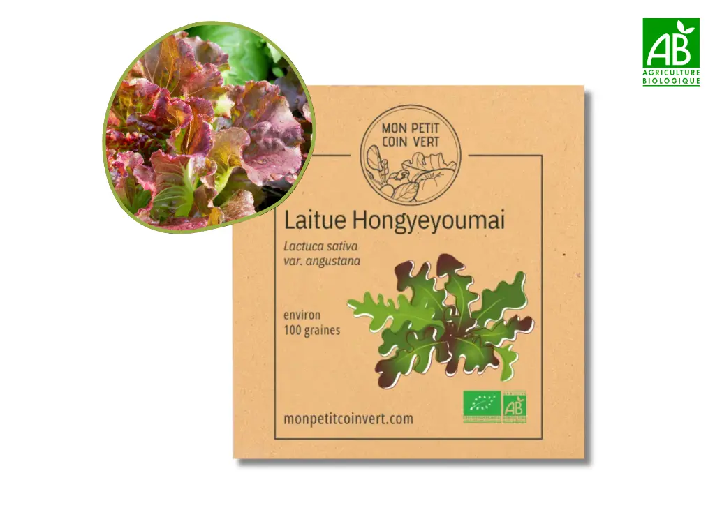 Laitue Hongyeyoumai AB