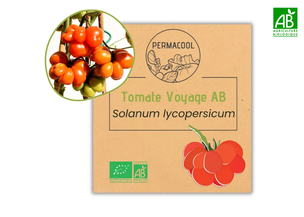 Tomate voyage AB
