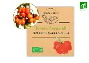 Tomate voyage AB