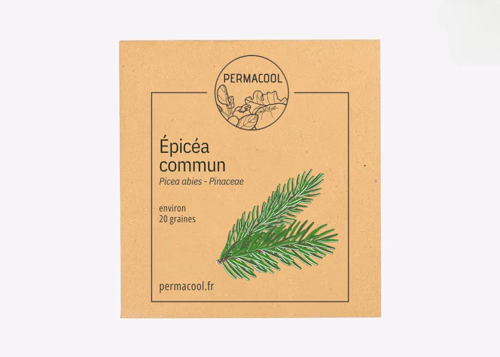 Sapin - Épicéa commun NT