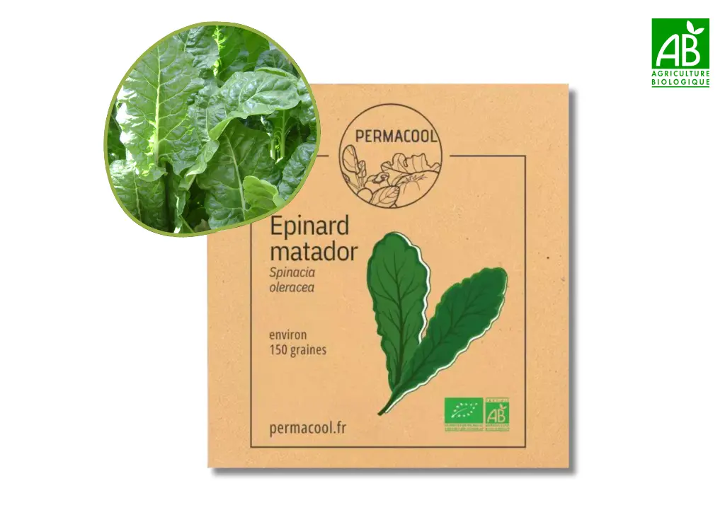 Épinard matador AB