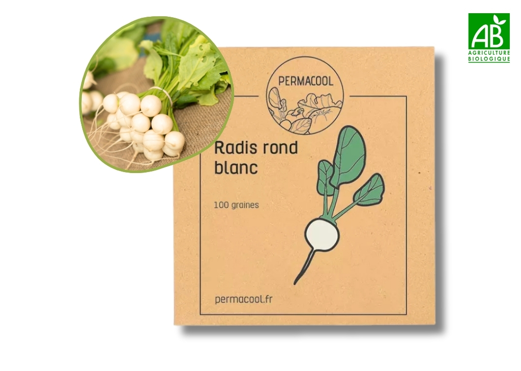 Radis rond blanc non traité - DLUO