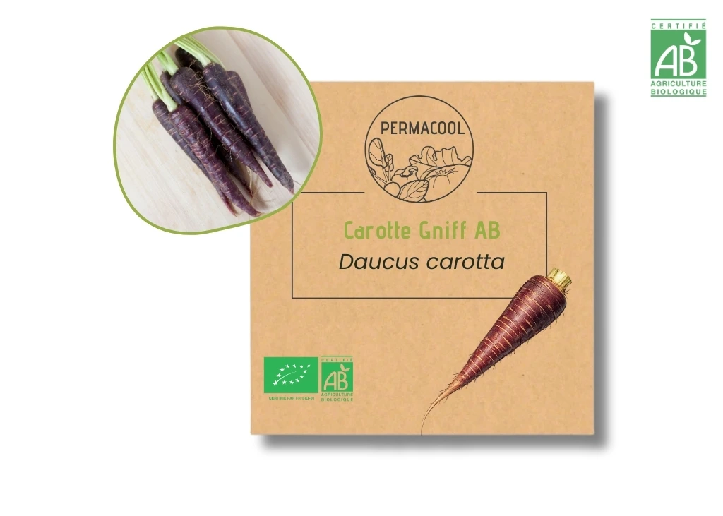 Carotte Gniff AB