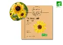 Tournesol nain sunspot AB